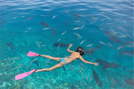 Mid adult woman snorkeling watching fish Foto de stock - Sin royalties Premium, Código: 649-08119055