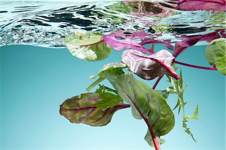 simsearch:6113-06626106,k - Salad leaves floating in water Stock Photo - Premium Royalty-Free, Code: 649-08119124