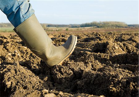Close up of farmers rubber boot walking on ploughed field Photographie de stock - Premium Libres de Droits, Code: 649-08119275