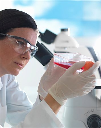Female cell biologist holding flask containing stem cells, cultivated in red growth medium Stock Photo - Premium Royalty-Free, Code: 649-08125178