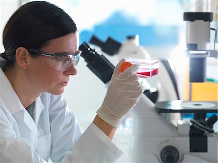 Female cell biologist holding flask containing stem cells, cultivated in red growth medium Photographie de stock - Premium Libres de Droits, Code: 649-08125179