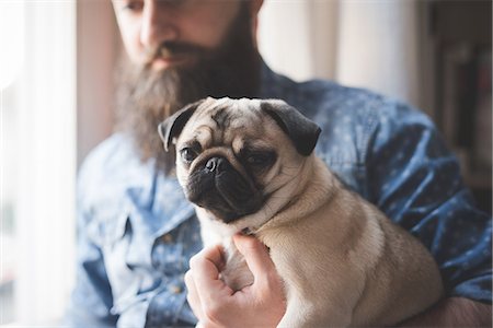 schoßhündchen - Young bearded man carrying dog in arms Stockbilder - Premium RF Lizenzfrei, Bildnummer: 649-08125271