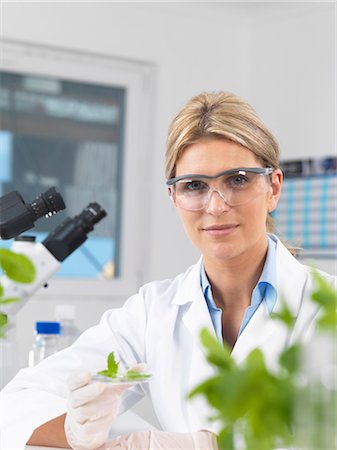 simsearch:649-08125183,k - Scientist viewing development of experimental plants in research laboratory Foto de stock - Sin royalties Premium, Código: 649-08125725