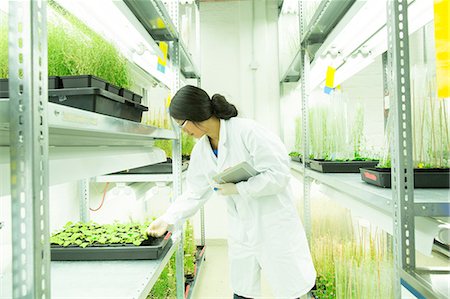 simsearch:649-08144171,k - Female scientist using digital tablet in plant sample lab greenhouse Photographie de stock - Premium Libres de Droits, Code: 649-08126073