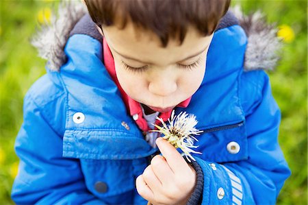 dandelion seeds - Portrait of boy in blue coat blowing dandelion clock Stock Photo - Premium Royalty-Free, Code: 649-08145287