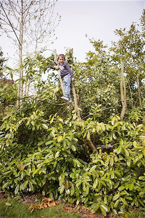 simsearch:649-07238451,k - Portrait of boy climbing tree in garden Foto de stock - Sin royalties Premium, Código: 649-08145289