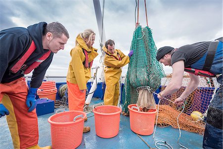 Research scientists and fishermen bring in catch of fish on research ship Stock Photo - Premium Royalty-Free, Code: 649-08179799