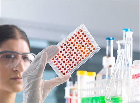 simsearch:649-07585100,k - Female scientist testing micro plate blood samples in laboratory Stock Photo - Premium Royalty-Free, Code: 649-08180602