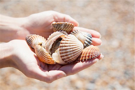 simsearch:649-06489153,k - Close up of womans cupped hands holding collection of seashells Foto de stock - Sin royalties Premium, Código: 649-08180683