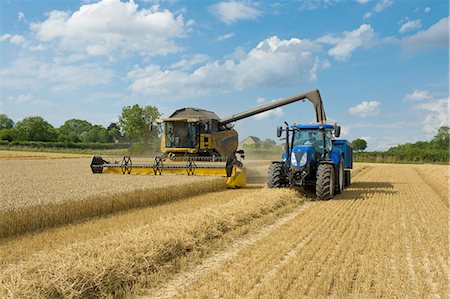 simsearch:6122-07702248,k - Combine harvester and tractor harvesting wheat in wheatfield Stock Photo - Premium Royalty-Free, Code: 649-08238455