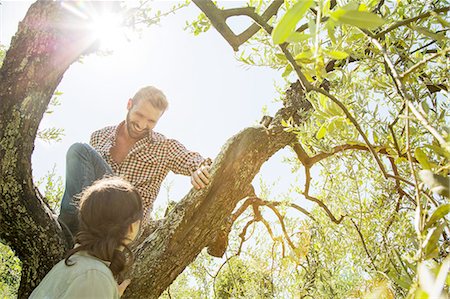 Low angle view of young couple climbing tree Stock Photo - Premium Royalty-Free, Code: 649-08239072