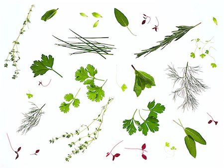 food from above white background - Backlit herbs Stock Photo - Premium Royalty-Free, Code: 649-08232619