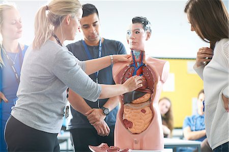 Lecturer speaking to college students in human anatomy class Stock Photo - Premium Royalty-Free, Code: 649-08306528