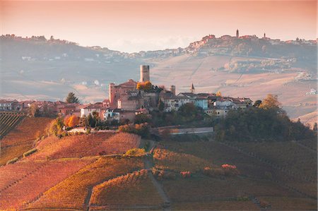 simsearch:6119-07541544,k - Elevated view of vineyards and hill town, Langhe, Piedmont Italy Foto de stock - Sin royalties Premium, Código: 649-08328986