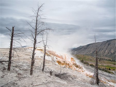 simsearch:649-08329027,k - Mammoth hot springs and terraces of calcium carbon deposit, Yellowstone National Park, Wyoming, USA Photographie de stock - Premium Libres de Droits, Code: 649-08329025