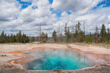 simsearch:649-08329027,k - Lemon Spring, Thermal hot spring along Firehole Lake Drive, Yellowstone National Park, Wyoming, USA Photographie de stock - Premium Libres de Droits, Code: 649-08329028