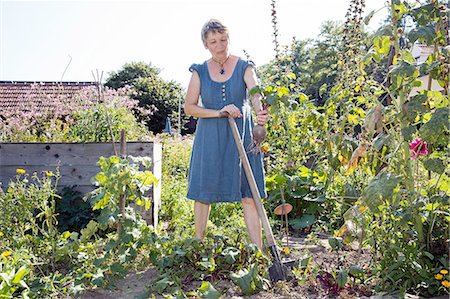 Mature woman gardening, digging with spade, holding vegetable in hand Foto de stock - Sin royalties Premium, Código: 649-08380910