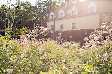 Mature woman gardening Photographie de stock - Premium Libres de Droits, Code: 649-08380924