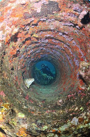 peces pargo - Scuba diving looking through tube in wreckage at resting snapper fish, Chinchorro Atoll, Quintana Roo, Mexico Foto de stock - Sin royalties Premium, Código: 649-08381041