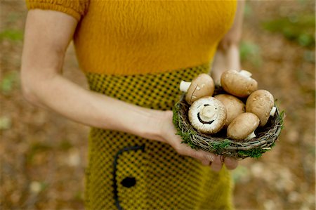 Cropped view of mature woman holding nest filled with mushrooms Stock Photo - Premium Royalty-Free, Code: 649-08381056