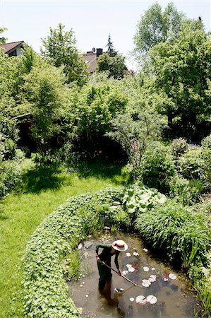 High angle view of mature woman in garden cleaning out pond Foto de stock - Sin royalties Premium, Código: 649-08381064