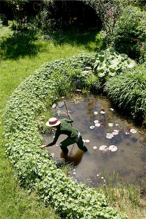 High angle view of mature woman in garden cleaning out pond Foto de stock - Sin royalties Premium, Código: 649-08381063
