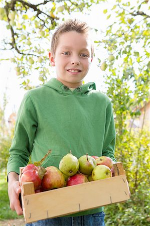 simsearch:649-08060378,k - Portrait of boy carrying crate of apples in orchard Foto de stock - Sin royalties Premium, Código: 649-08381212