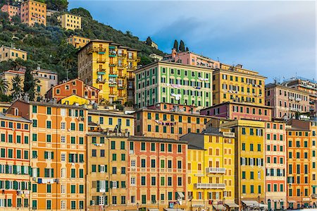 Detail of colorful hotels and apartments on hillside, Camogli, Liguria,  Italy Photographie de stock - Premium Libres de Droits, Code: 649-08381764