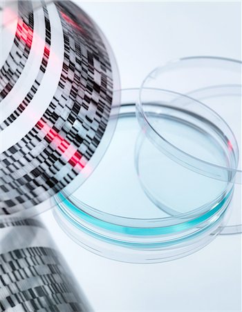 High angle view of curled DNA sequencing gel and petri dish Photographie de stock - Premium Libres de Droits, Code: 649-08381848
