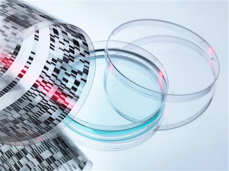 High angle view of curled DNA sequencing gel and petri dish Photographie de stock - Premium Libres de Droits, Code: 649-08381849