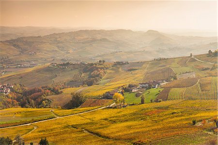 Elevated view of valleys and distant autumn vineyards, Langhe, Piedmont, Italy Photographie de stock - Premium Libres de Droits, Code: 649-08423198