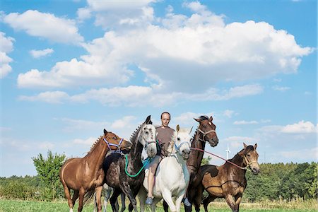 Mid adult man riding and leading six horses in field Photographie de stock - Premium Libres de Droits, Code: 649-08423425