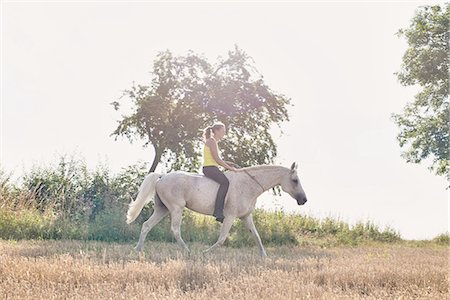Woman riding grey horse in field Stock Photo - Premium Royalty-Free, Code: 649-08423427