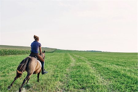 Rear view of woman galloping on bay horse in field Stockbilder - Premium RF Lizenzfrei, Bildnummer: 649-08423436