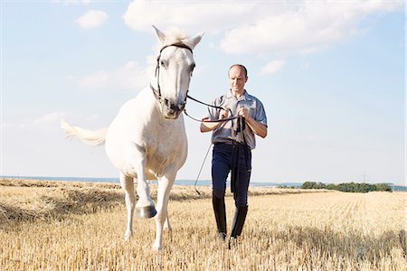 Man training trotting white horse in field Photographie de stock - Premium Libres de Droits, Code: 649-08423432