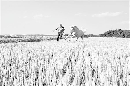 B&W image of man training galloping horse in field Stock Photo - Premium Royalty-Free, Code: 649-08423445