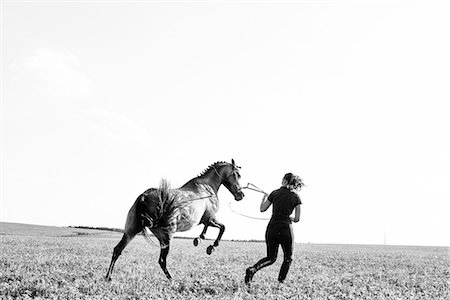 B&W image of woman training rearing horse in field Stock Photo - Premium Royalty-Free, Code: 649-08423446