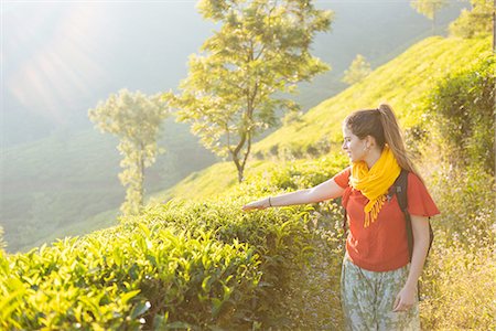 photography of the country - Young woman in tea plantations near Munnar, Kerala, India Stock Photo - Premium Royalty-Free, Code: 649-08480035