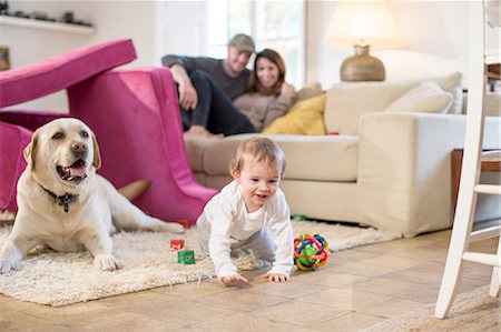 Baby boy and pet dog playing in fort made from sofa cushions Foto de stock - Sin royalties Premium, Código: 649-08548830