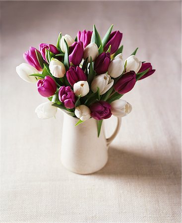 simsearch:614-07032085,k - White and purple tulip flower arrangement in jug Stock Photo - Premium Royalty-Free, Code: 649-08549364