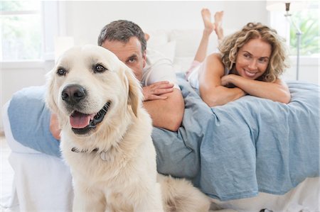 simsearch:649-07648467,k - Portrait of golden retriever in front of mature couple lying on bed Photographie de stock - Premium Libres de Droits, Code: 649-08543600