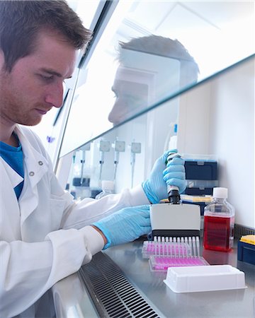 Scientist using multi well pipette to fill multi well plate in biological safety cabinet in laboratory, Jenner Institute, Oxford University Stock Photo - Premium Royalty-Free, Code: 649-08543835