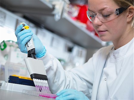pathology - Scientist using multi-channel pipette to fill multiwell plate for analysis of antibodies by ELISA assay, Jenner Institute, Oxford University Stock Photo - Premium Royalty-Free, Code: 649-08543846