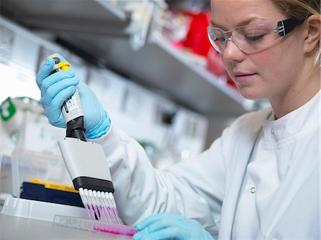 Scientist using multi-channel pipette to fill multiwell plate for analysis of antibodies by ELISA assay, Jenner Institute, Oxford University Photographie de stock - Premium Libres de Droits, Code: 649-08543846