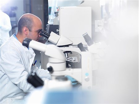 Scientist viewing parasites under light microscope in laboratory, Jenner Institute, Oxford University Stock Photo - Premium Royalty-Free, Code: 649-08543840