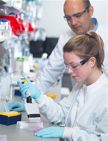 Scientist using multi-channel pipette to fill multiwell plate for analysis of antibodies by ELISA assay, Jenner Institute, Oxford University Stock Photo - Premium Royalty-Free, Code: 649-08543842