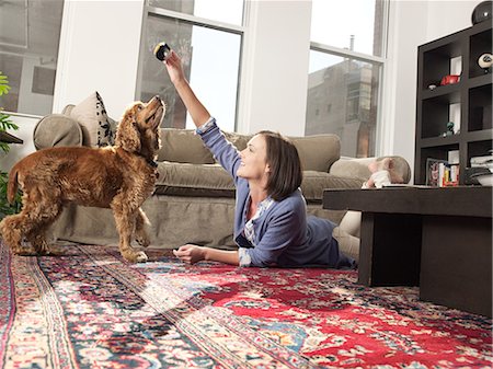 simsearch:649-09207273,k - Mid adult woman teching pet dog in living room Photographie de stock - Premium Libres de Droits, Code: 649-08564007