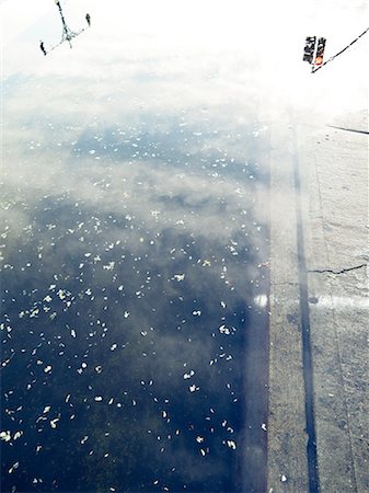 puddle street - Flooded street with reflection of traffic light and petal in water Stock Photo - Premium Royalty-Free, Code: 649-08564055