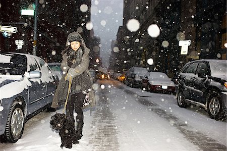 parked snow - Woman walking dog in snow, New York City, USA Foto de stock - Sin royalties Premium, Código: 649-08564270