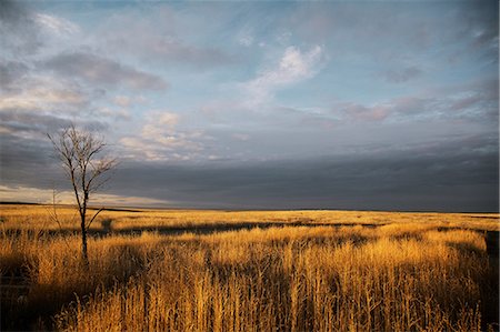 simsearch:649-08085953,k - Grey clouds hovering over orange landscape Stockbilder - Premium RF Lizenzfrei, Bildnummer: 649-08565423